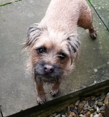 jonfw67's profile picture. 