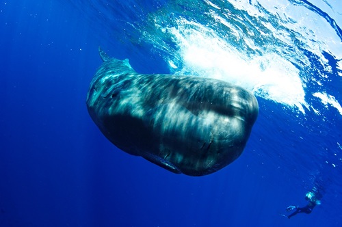 mhartog's profile picture. 