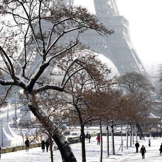 pin2909fin's profile picture. exact and exist