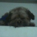 camila abigail gil  - @cami00994124 - Twitter