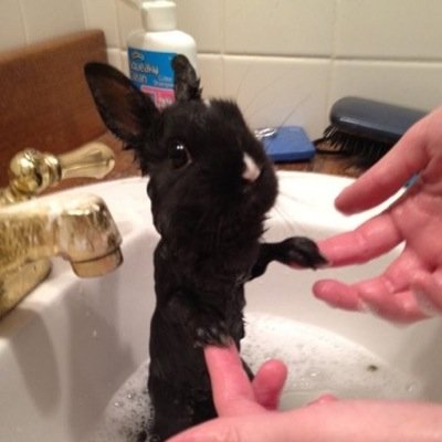 Norah_mez's profile picture. ONE OF A KIND