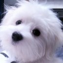 terri drew - @tldrew - Twitter