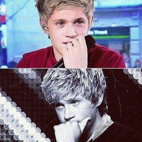 I Love One Direction And Five Seconds Of Sumer,I believe in Larry and Narry , Although It Is Not Real, My Weakness Is Niall and Harry :3 The Man I Love *-*