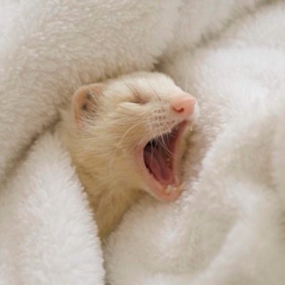 KateDowd's profile picture. i don't really know what i'm doing, nor do i have anything of real importance to say... for now.