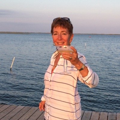 Janice L. Goldberg - Freelance Director, Playwright, Artistic Co-Director of AND Theatre Company, I Of The Storm director, Licensed NYC Tour Guide