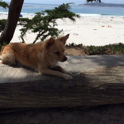 TheDerek2009's profile picture. Established bitcoin dogooder. . Love bitcoin tweets, making it easy for the hard worker to live