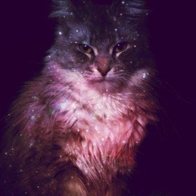 FOLLOW MEOW. JUST CLICK THAT FOLLOW BUTTON AND I CLICK YOURS.