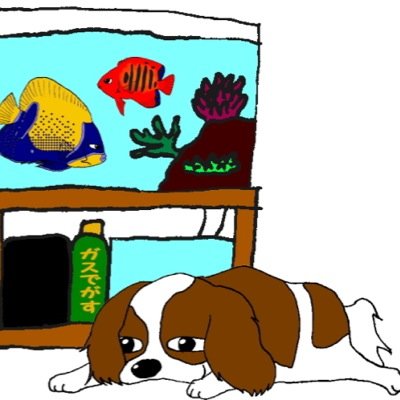 ハンドメイドミノー「クヴェレ(Quelle)」を作っている駆け出しビルダー。 海水魚水槽、金魚、渓流釣りにのめり込んだ魚キチガイの一種。 ホームリバー:小菅川 ブログもあり。