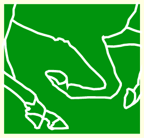 The Barn Equine Surgery is a dedicated 100% equine veterinary practice based on the Hampshire/Dorset borders