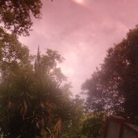 sangria (@sangria) 's Twitter Profile