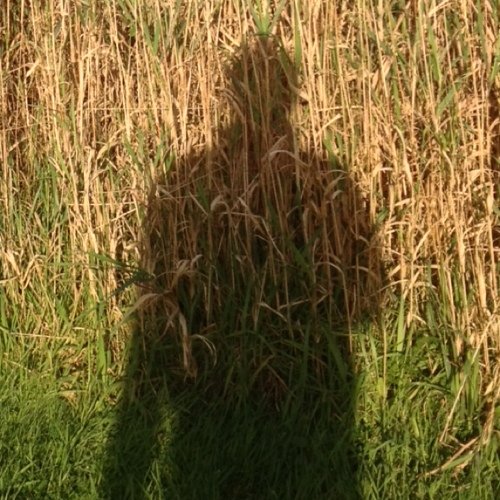 oRyGuyo's profile picture. Loud clapper.