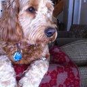 Mary Jane Packard - @jane_packard - Twitter