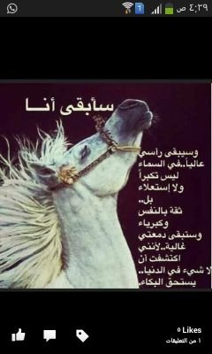‏جرح السيف يبراء وجرح المشاعر ما يطيب