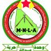 MNLA officiel (@mnlanews) Twitter profile photo