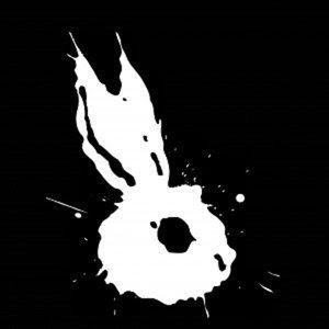 Follow the white rabbit