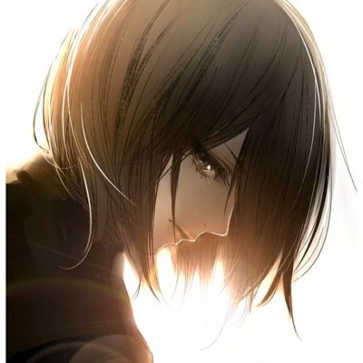hi im mikasa,the protector of eren jaeger..my bestfriends are the things i love most in life ..//lonely life//