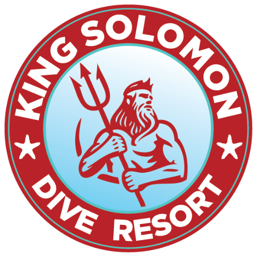 kingsolomondive's profile picture. For Inq into Reservations: Email: kingsolomondive@gmail.com Web: http://t.co/x5nXVnT4m1 Msg / Viber: +63917.836.4639 IG: @kingsolomondive
