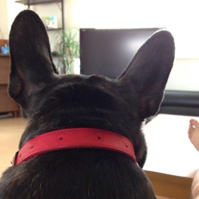 みっけんさんのプロフィール画像