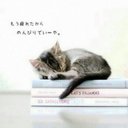 *atsuko* (@0802_atsuko) Twitter