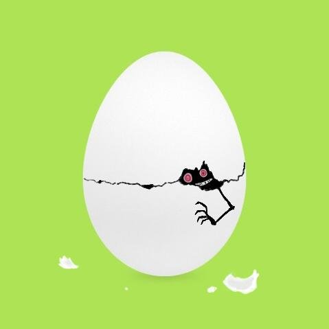 なんコツさんのプロフィール画像