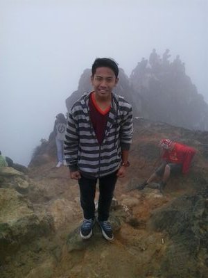 Alginda pranata™