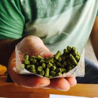 Beer (@studiobrewing) 's Twitter Profile