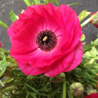 nomesyj's profile picture. 