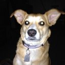 Delbert adkins - @21_delbert - Twitter