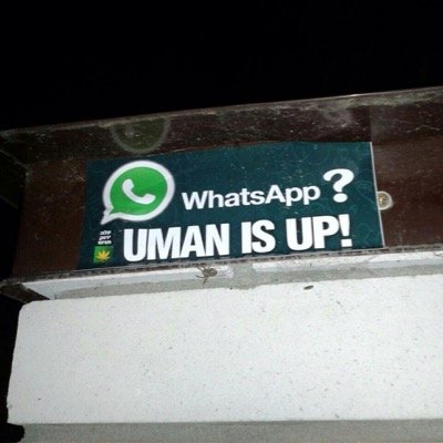 srulyweiss's profile picture. always in for a chat!!!!