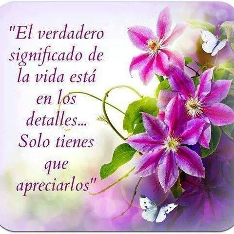 Soy optimista, emprendedora, tengo Fe y amo a pesar de todo, ademas espero la venida de Jesús, gracias mi Dios