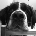 Barbara Billups - @barbatab - Twitter