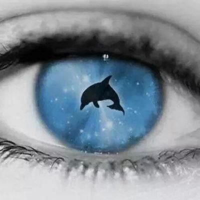 We are all #Earthlings #TheCove #tweet4taiji #DolphinProject #Blackfish #Vegan 🌱#rescue #FurIsDead #AdoptDontShop #HuskyLife 💜 #WomensRights #NeptunesPirates