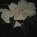 Eduardo Keller - @69b635506d9f426 - Twitter