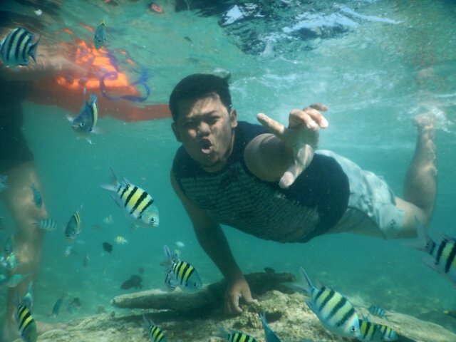 Dimas indrow