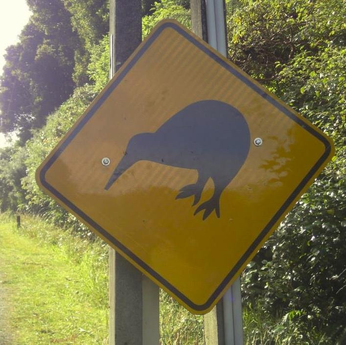 PetitsBoutsDail's profile picture. Voyages, Gastronomie, Bons Plans