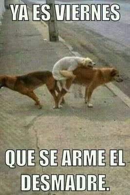 noches de lujuria y placer