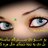 zareen tariq❤ Memecoin💛 DROPπ²'s Twitter (X) avatar