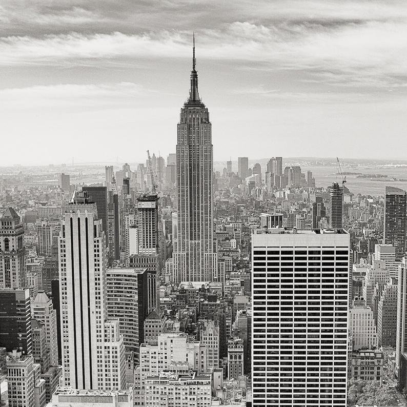 somodatacenter's profile picture. 