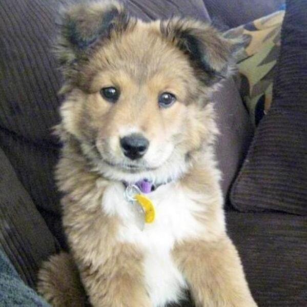 Having a bad day? We post cute animal pictures to make your day better!