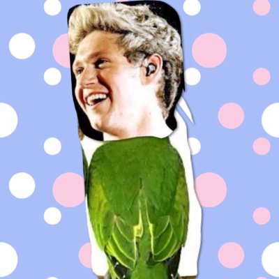 Las orejas de niall perfectas