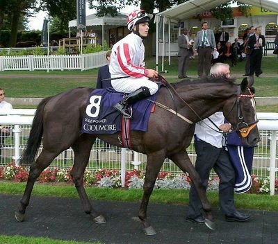 Quirky, charismatic, humble, 5 X Group 1 winning Sprinter with the greatest finishing burst ever seen in the sport. Cartier Sprinter of the year 2014.