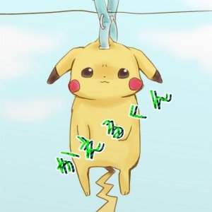 見る専