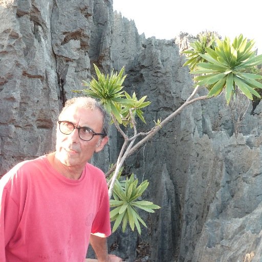 directeur Les Aromatiques bio du Sambirano -  
Huiles Essentielles et épices bio de Madagascar