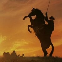 Zorro 2.0 (@zorro2o0) 's Twitter Profile