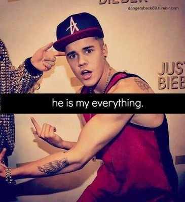 Belieber,Swiftie, Lovatic,Navy, Mendie