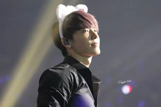 ~Miembro de Suju~ Doy galletas a cambio de abrazos(?)//Nuevo★