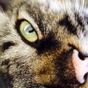 Arno Botha - @antobotha - Twitter