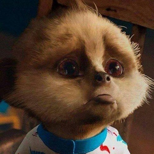 john151009's profile picture. LIFES JUST ONE BIG JOKE YOU'RE BORN YOU DIE. YOU CAN ONLY HAVE FUN WHEN YOU LIVE. (HA FKN HA)