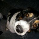 Leo Eller - @eller_leo - Twitter