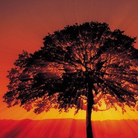 andrewI996's profile picture. У меня вы найдёте различные приколюхи на разные темы, философские мысли, а также много видио-прохождений разных интересных, на мой взгляд, игр. Присоединяйся!